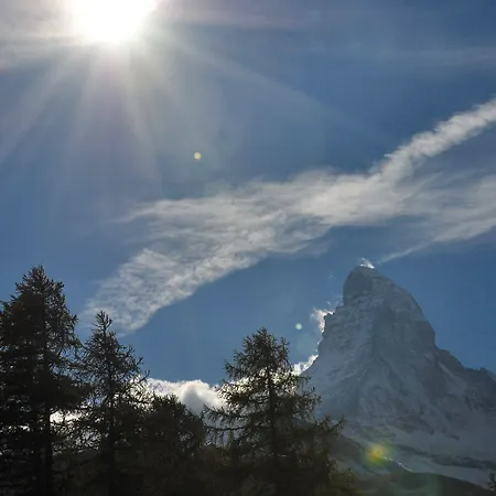 Auberge de jeunesse Youth *