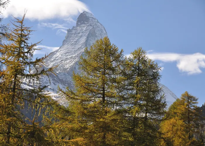 采尔马特青年旅舍 *